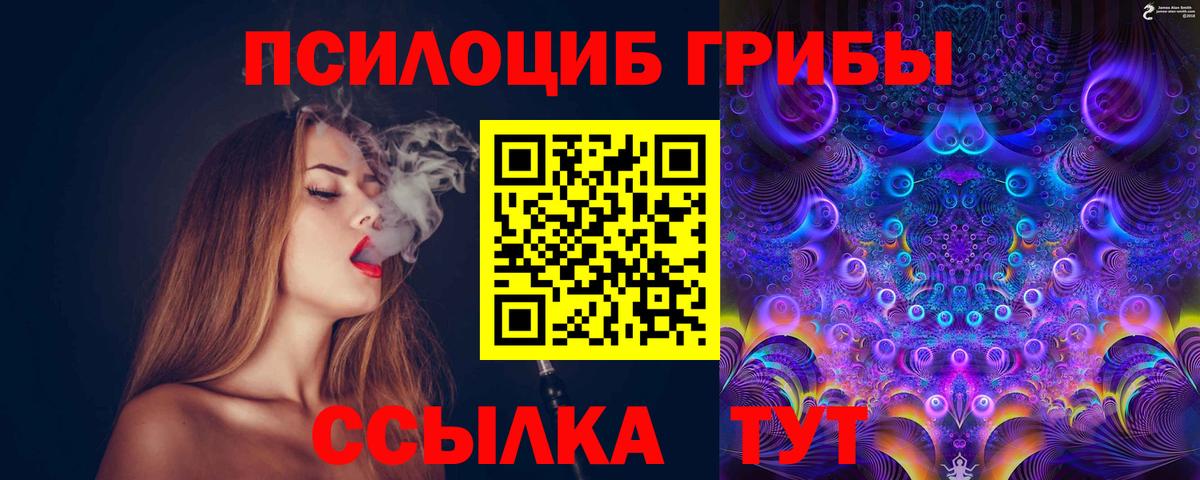 Псилоцибиновые грибы Psilocybine cubensis Орск